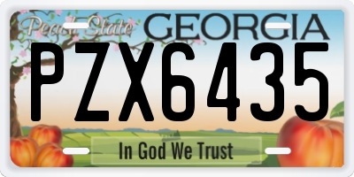 GA license plate PZX6435