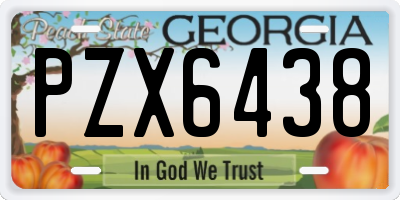 GA license plate PZX6438