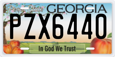 GA license plate PZX6440