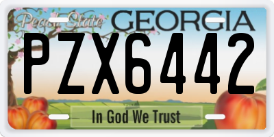 GA license plate PZX6442