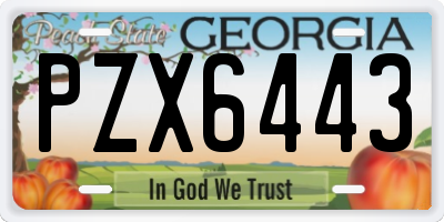 GA license plate PZX6443