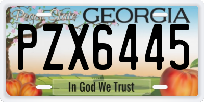 GA license plate PZX6445