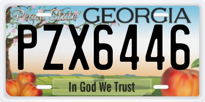 GA license plate PZX6446