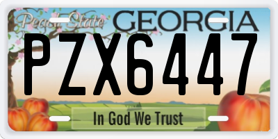 GA license plate PZX6447