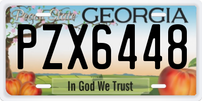 GA license plate PZX6448