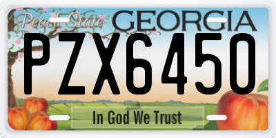 GA license plate PZX6450