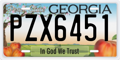 GA license plate PZX6451