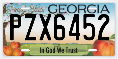 GA license plate PZX6452