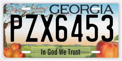GA license plate PZX6453