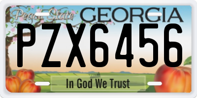 GA license plate PZX6456