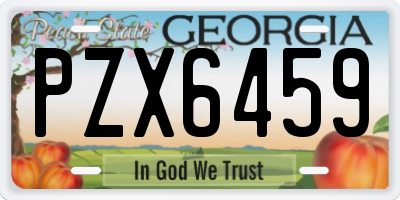 GA license plate PZX6459