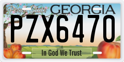 GA license plate PZX6470