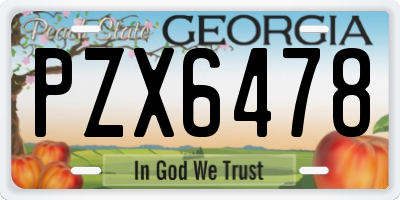 GA license plate PZX6478
