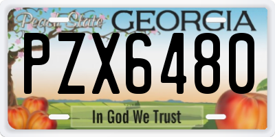 GA license plate PZX6480
