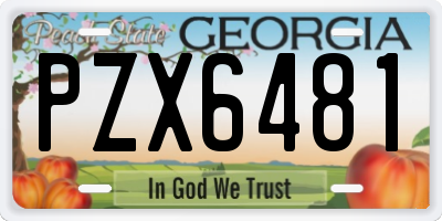 GA license plate PZX6481
