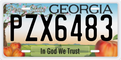 GA license plate PZX6483