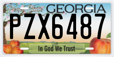GA license plate PZX6487