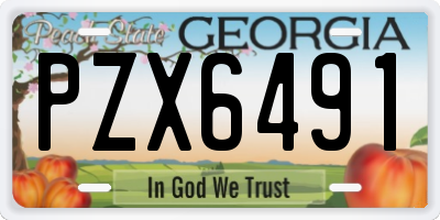 GA license plate PZX6491