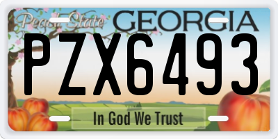 GA license plate PZX6493