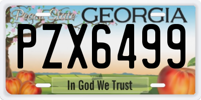 GA license plate PZX6499
