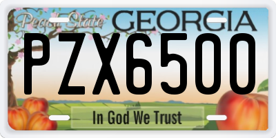 GA license plate PZX6500