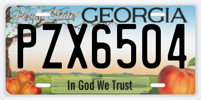 GA license plate PZX6504