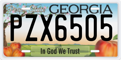 GA license plate PZX6505