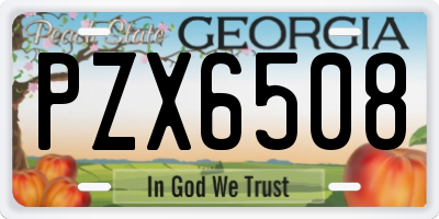GA license plate PZX6508