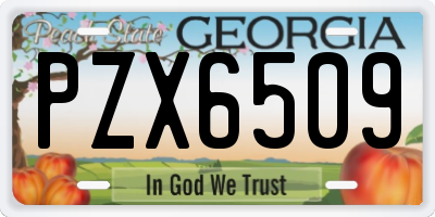 GA license plate PZX6509