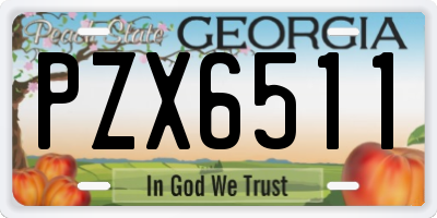 GA license plate PZX6511