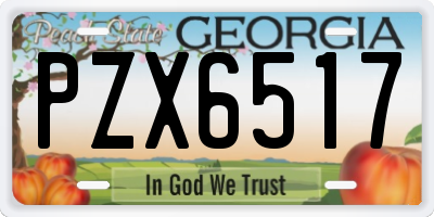 GA license plate PZX6517