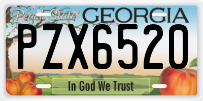 GA license plate PZX6520