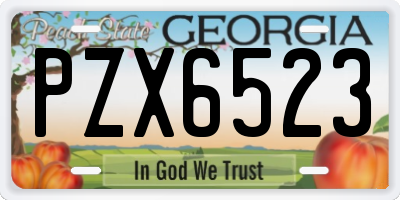 GA license plate PZX6523