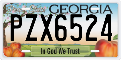 GA license plate PZX6524
