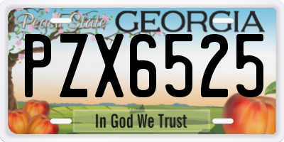 GA license plate PZX6525