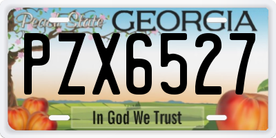 GA license plate PZX6527