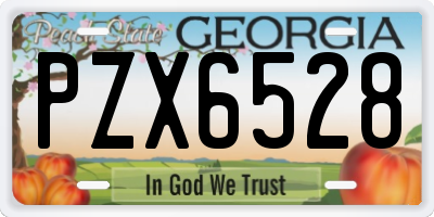 GA license plate PZX6528