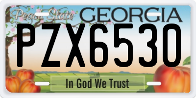 GA license plate PZX6530