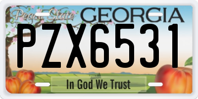 GA license plate PZX6531