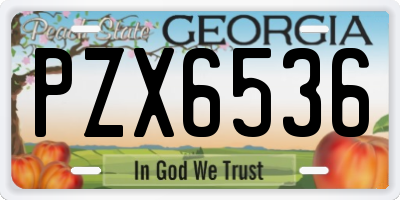 GA license plate PZX6536