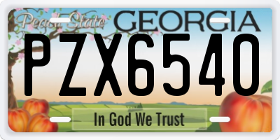 GA license plate PZX6540