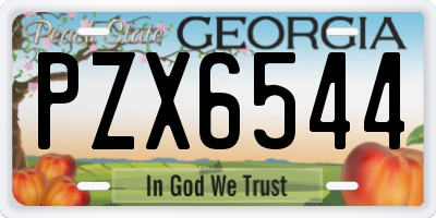 GA license plate PZX6544