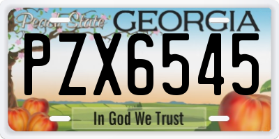 GA license plate PZX6545