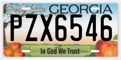GA license plate PZX6546