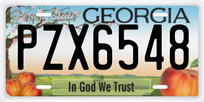 GA license plate PZX6548