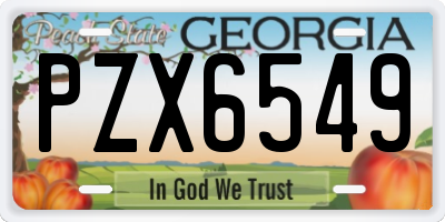 GA license plate PZX6549