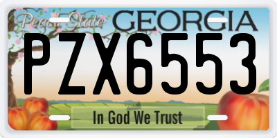 GA license plate PZX6553