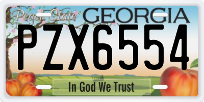 GA license plate PZX6554