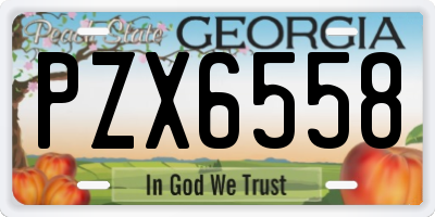 GA license plate PZX6558