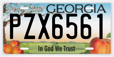 GA license plate PZX6561
